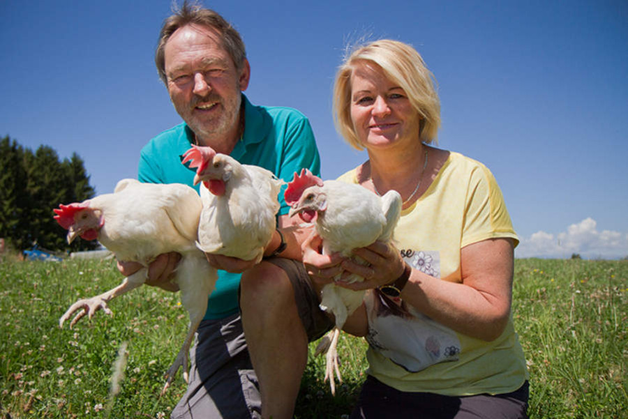 Bio-Bauernhof Familie Maier aus Neumarkt in der Steiermark